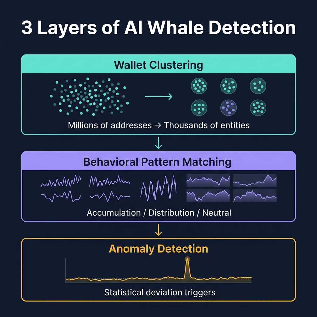 Three layers of AI-powered whale detection