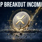 XRP Breakout Incoming 2026 to 2030 Price Projection